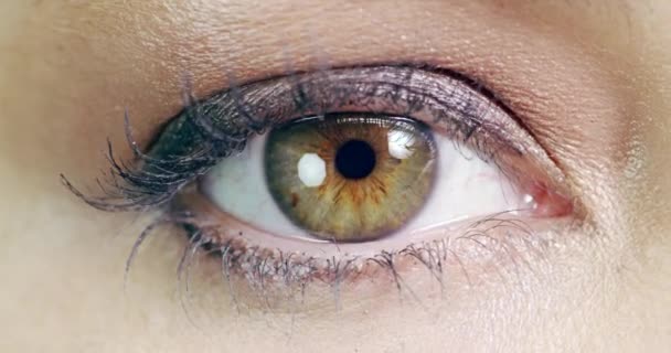 Øje Kvinde Makro Vision Fokus Øjeæble Iris Med Kontaktlinser Zoom – Stock-video