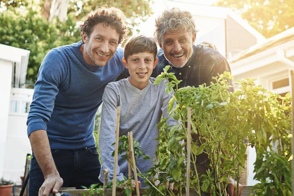 Zahradnictví Rodinná Záležitost Mladý Chlapec Zahradničení Svým Otcem Dědečkem — Stock fotografie