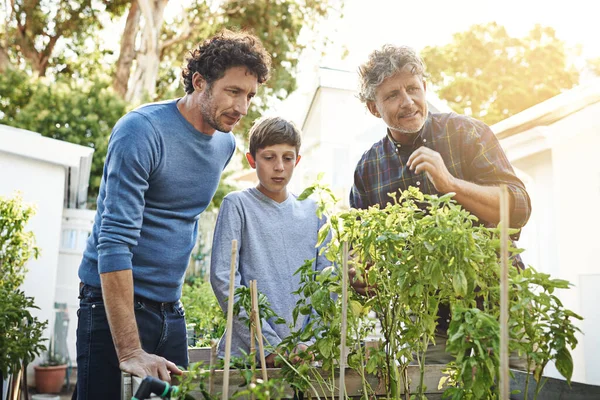 The men of the family love gardening. A young boy gardening with his father and grandfather