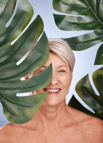 Mature woman, skincare or body care leaf in studio healthcare, organic dermatology treatment or vegan face makeup cosmetology. Smile portrait, happy middle aged beauty model or green monstera plant.