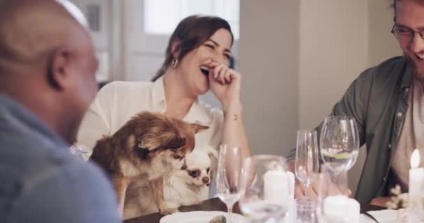 Impreza Pies Grupa Przyjaciół Świętują Koktajlem Szampanem Lub Kieliszkiem Wina — Wideo stockowe