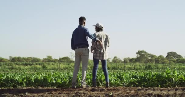 农民夫妇拥抱 农耕土地在农村 男人和女人带着可持续性和环境回头看 收获和有机与自然和农场 生长与蓝天 — 图库视频影像