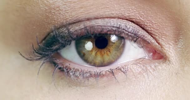 放大眼睛 女人的视力和美丽与面部 生物视觉和思考与眨眼的运动 护肤质感和有睫毛的眼睛 隐形眼镜或微珠特征的宏观细节 — 图库视频影像