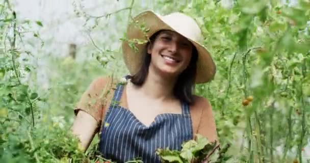 Porträtt Jordbruk Och Kvinnlig Bonde Går Växthus Med Hållbara Växter — Stockvideo