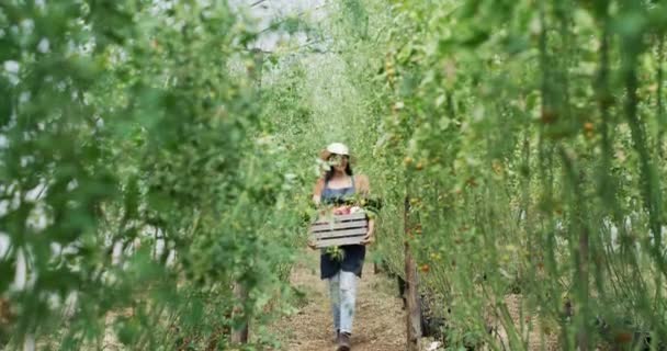 Agricultura Agricultor Mulher Com Caixa Legumes Caminhadas Agricultura Sustentabilidade Colheita — Vídeo de Stock