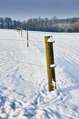 Soğuk çitler. Kar kaplı bir arazinin yol kenarında bir çit.