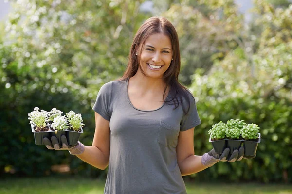 Sei Diventato Verde Una Bella Donna Con Mano Pacco Sei — Foto Stock