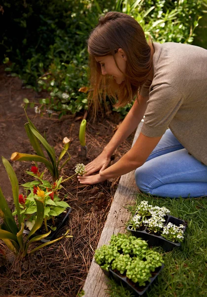 Mantenerse Contacto Con Jardinero Interior Una Joven Jardinería — Foto de Stock