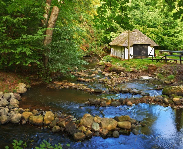 Nehrin Kıyısında Danimarka Ormanında Bir Derenin Yanında Bir Köy Kulübesi — Stok fotoğraf