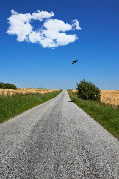 Beautiful Journeys Empty Road Countryside — Stock Photo, Image