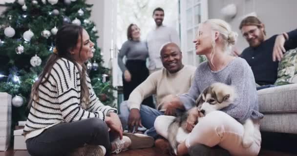 Kerstmis Feest Vrienden Met Hond Woonkamer Voor Feestelijke Vakantie Samen — Stockvideo