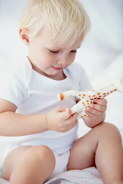 Learning Animals Young Baby Playing Toy Giraffe — Stock Photo, Image