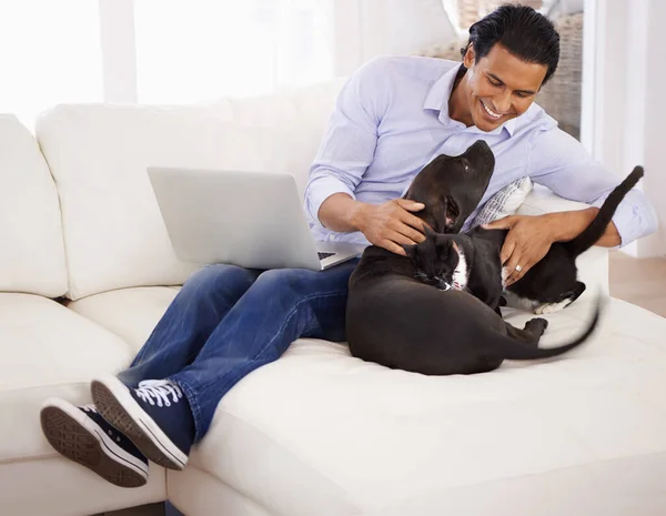 Realmente Mejor Amigo Los Hombres Joven Guapo Acariciando Perro Mientras — Foto de Stock