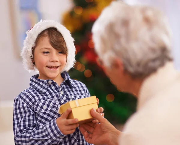 Good Little Boy Happy Young Boy Receiving Christmas Gift His — Stock Photo, Image