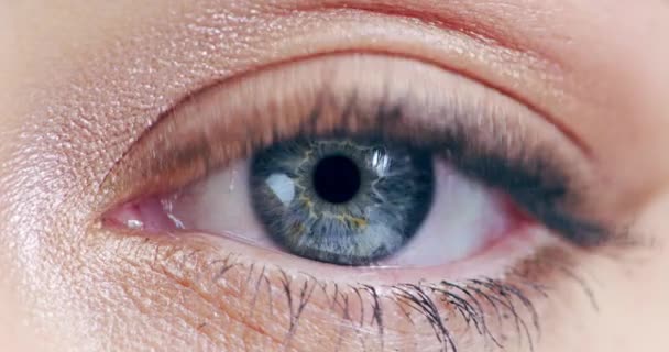 Zrak Oko Překvapení Ženských Očí Zorném Poli Ohnisku Očí Oční — Stock video