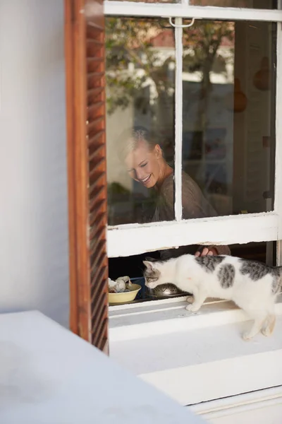 stock image Dinner time for kitty. A young woman looking through her window