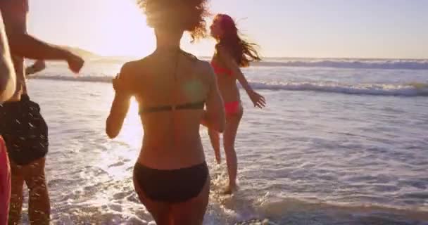 Φίλοι Παραλία Και Τρέξιμο Για Την Ελευθερία Στις Καλοκαιρινές Διακοπές — Αρχείο Βίντεο
