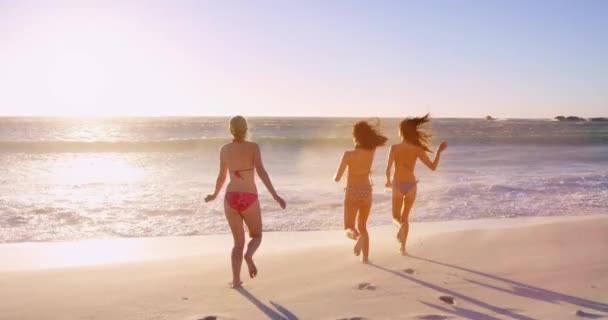 Kobiety Bikini Przyjaciele Plaży Zachodzie Słońca Dla Zabawy Wakacje Przygoda — Wideo stockowe