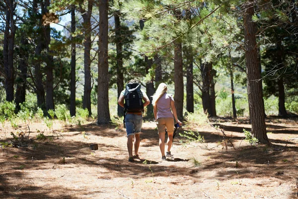 森の探検家 森の中を一緒にハイキングするカップルのレビューショット — ストック写真