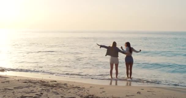 Natura Przyjaciele Kobiety Stojący Oceanie Latem Falami Przygodowym Spacerze Plaży — Wideo stockowe