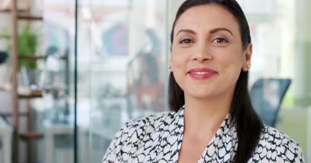 Yüz Gülümseme Işyerindeki Gülen Kadınları Liderlik Ceo Mutlu Kendine Güvenen — Stok video