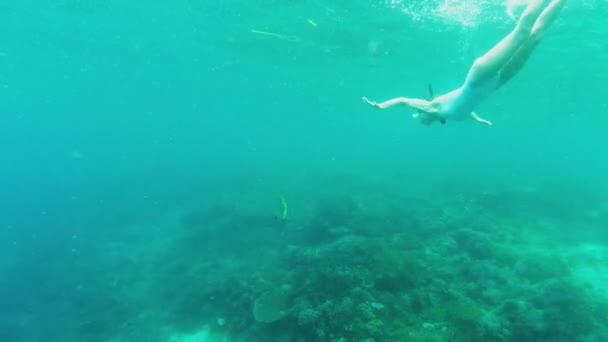 在印度尼西亚 潜水或水下游泳的女人可以自由地进行热带探险 旅游和体育领域的女孩外出度假时在海洋自然或鱼类环境中潜水 — 图库视频影像