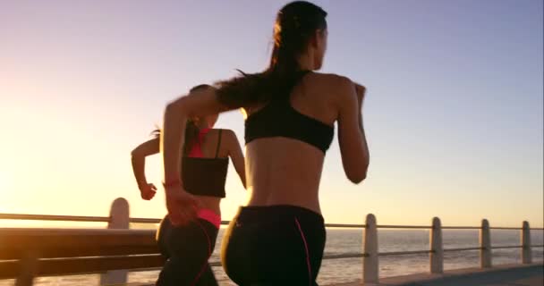 Ćwiczenia Biegania Kobiety Razem Plaży Promenady Fitness Trening Cardio Trening — Wideo stockowe