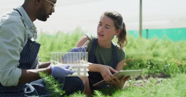 Rolnictwo Rolnictwo Naukowcy Probówką Tabletką Badań Analiz Wzrostu Roślin Nauka — Wideo stockowe