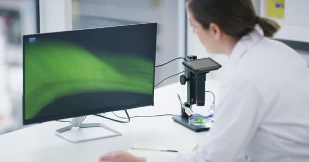 科学家 植物和研究与显微镜 计算机和环境分析实验室 女性研究人员和有叶子的女士 食品科学和农艺学的制约生长 — 图库视频影像