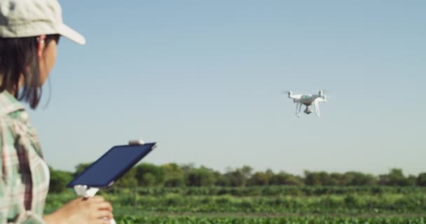 Kobieta Rolnik Latający Dron Polu Rolnictwa Wsi Plantacji Przemysłu Zarządzania — Wideo stockowe