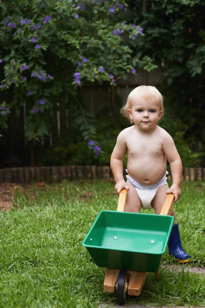 Intrigued Nature Cute Baby Boy Playing His Toy Wheelbarrow Garden — Stock Photo, Image
