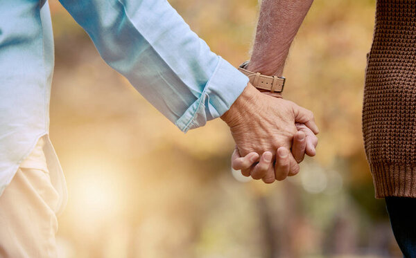 Love, nature and senior couple holding hands while walking in autumn park, forest or woods for retirement leisure. Romance, lens flare or marriage partnership of elderly man and woman bonding on date.