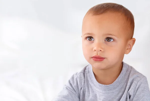 Cute Calm Cute Little Toddler Boy Looking Away Camera — Stock Photo, Image