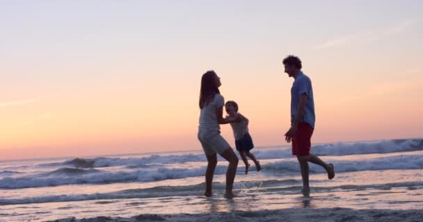 Familie Silhouet Zonsondergang Strand Spelen Zomervakantie Reizen Oceaan Hawaii Vrijheid — Stockvideo