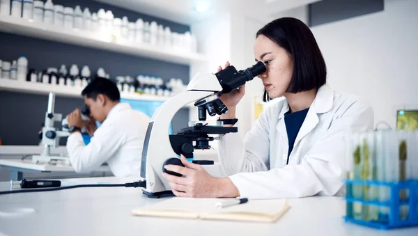 Forschung Mikroskop Und Wissenschaft Mit Frau Labor Für Viren Medizin — Stockfoto