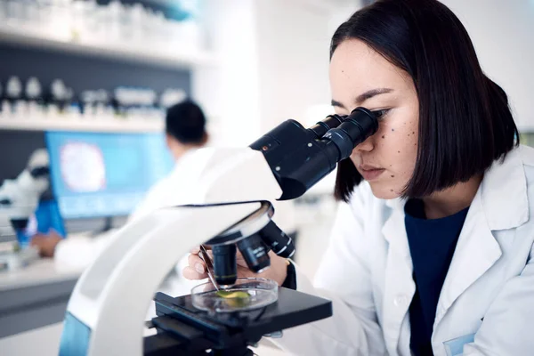 Labor Mikroskop Und Medizinwissenschaftliche Analysen Forschungsinnovationen Und Biotechnologie Wissenschaftler Chemie — Stockfoto