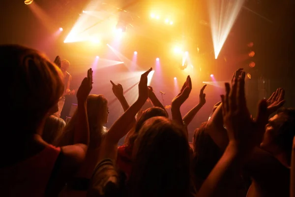 Musik Rock Festival Konzert Oder Performance Veranstaltung Mit Publikum Publikum — Stockfoto