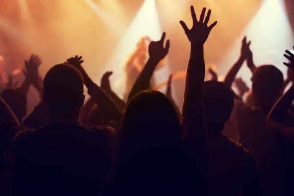 Konserde Müzik Işıklar Kalabalığın Elleri Parti Disko Canlı Grup Performansı — Stok fotoğraf