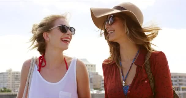 Przyjaciele Kobiety Odkryty Szczęśliwy Podróży Mieście Wolności Spacery Śmieszne Śmiech — Wideo stockowe