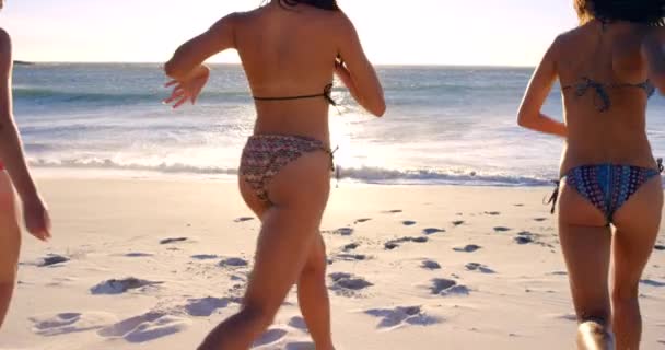 Barátok Nők Bikini Strandon Víz Úszás Futás Együtt Nyaralni Nyáron — Stock videók