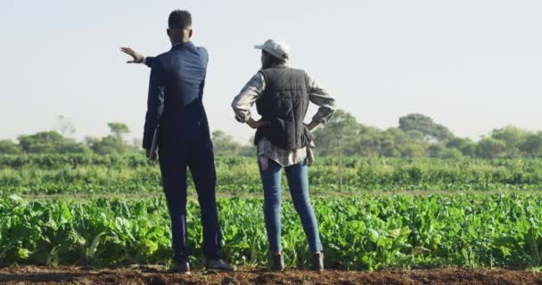 Üzleti Mezőgazdasági Üzletemberek Beszélnek Mezőgazdaságról Beruháznak Fenntarthatóságba Gazdálkodásban Növekedési Fejlesztési — Stock videók