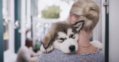 Şehir, aşk ve kadın kucağında köpek taşır. Sosyal etkinliğin, partinin ve dışarıda evcil hayvanlarla kutlamanın tadını çıkarırlar. Evlat edinme, hayvan bakımı ve omzunda sevimli, sevimli ve tüylü bir köpek yavrusu tutan kız..