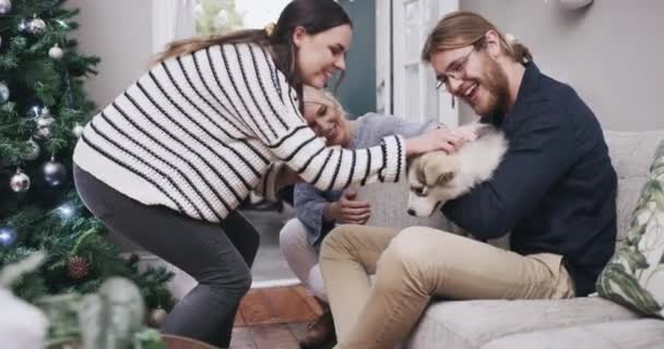 Kerstmis Familie Hond Met Een Man Vrouw Die Samen Een — Stockvideo