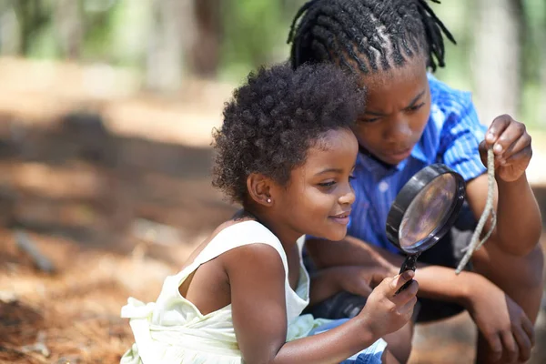 Exploring Nature Brother Sister Playing Magnifying Glass Woods — Stock Photo, Image