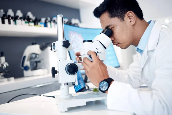Microbiology, research and scientist in a lab with a microscope for science, healthcare innovation and bacteria analysis. Medical analytics, biotechnology and worker with test on future medicine.