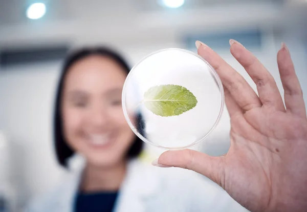 Kobieta Ręka Płytka Petriego Rośliną Botaniki Biologiem Studiującym Zmiany Klimatu — Zdjęcie stockowe