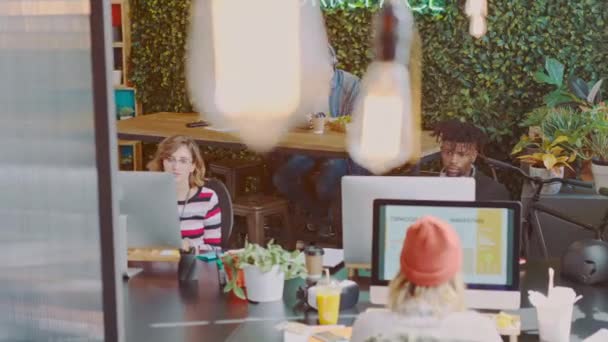 緑のビジネス 環境に優しいオフィスでチームとして働く男性と女性とのコラボレーション 男性と女性の従業員グループとのミーティング チームワーク — ストック動画