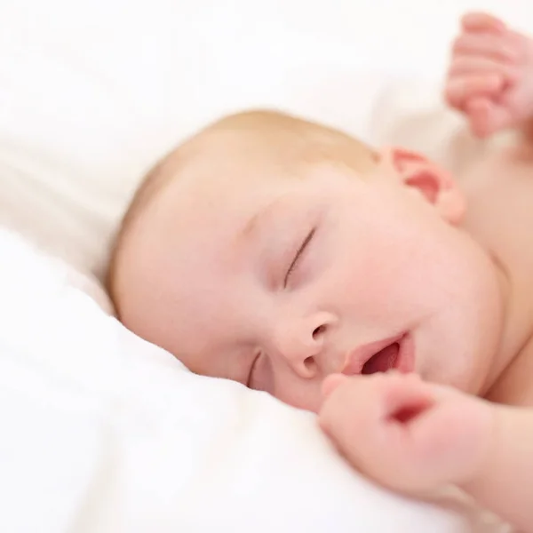 你在做梦什么 小家伙 可爱的小高加索宝宝睡得很香 — 图库照片