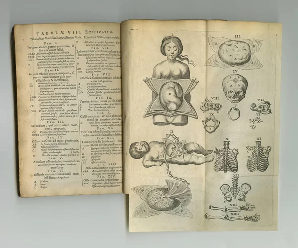 Yıpranmış Sararmış Gazete Sayfaları Sergilenen Eski Bir Anatomi Kitabı — Stok fotoğraf