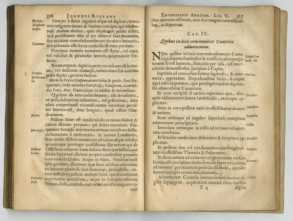 ラテン語のジャーナルの古い本のページを身に着けていた 古い本のページが表示されます — ストック写真